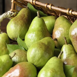 Fresh Pears