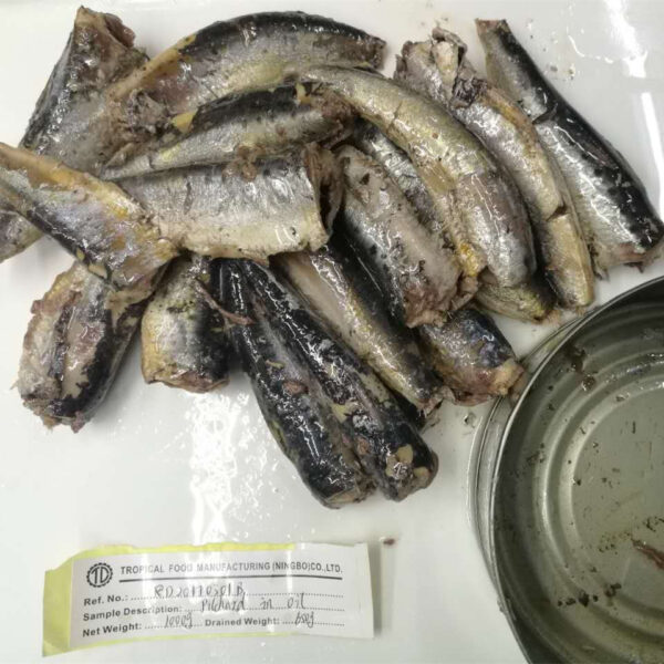 Canned Sardine - Image 3